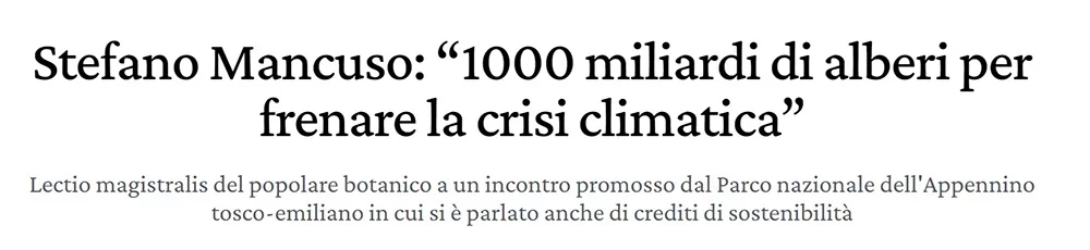 nw08 Chiodi di legno 1