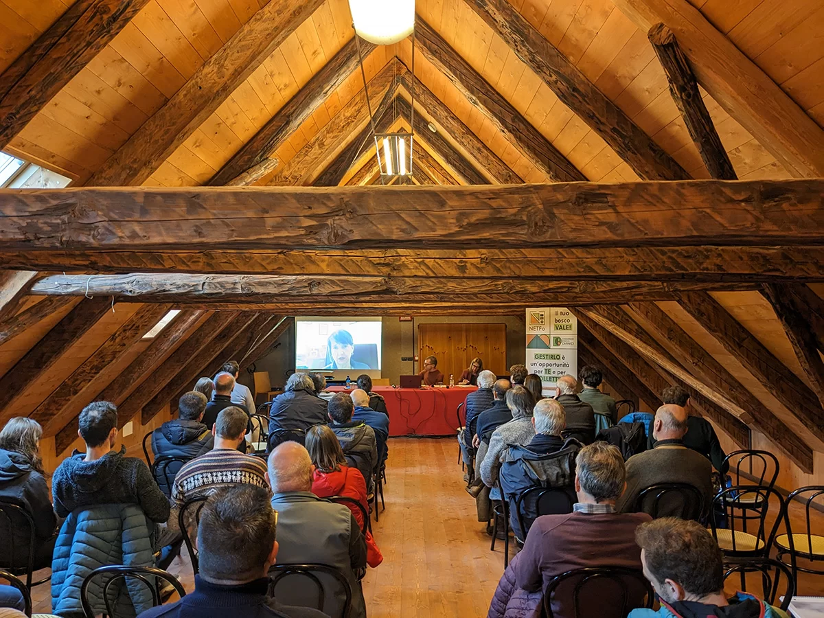 PXL 20240202 141852133