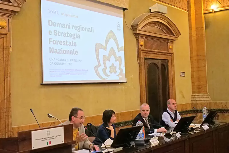 Grandi Foreste Regionali 2