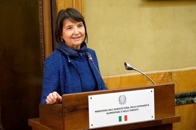 Grandi Foreste Regionali 3