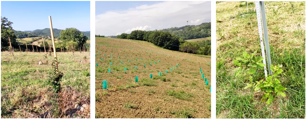 art Impiego droni imboschimenti Figura1