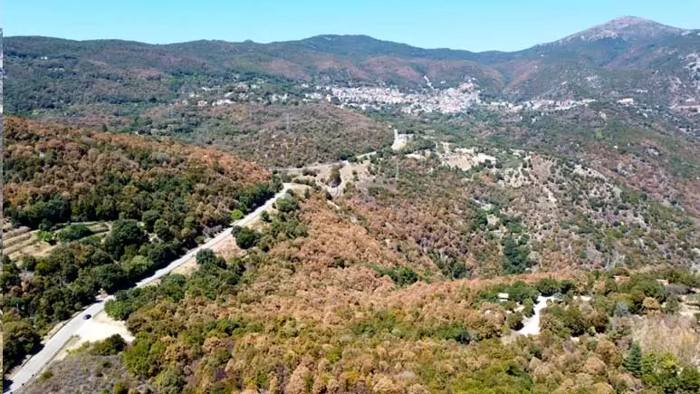 art.Emergenza ambientale in Sardegna 1