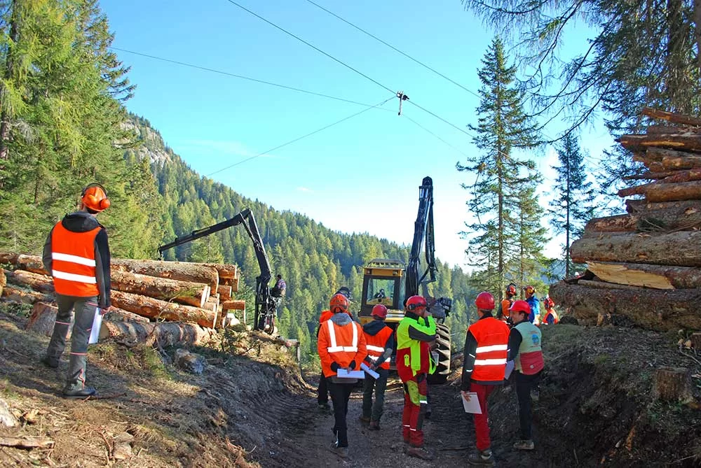 art.Formazione per la montagna IFTS 1