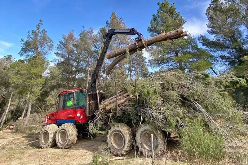 art.Studenti in azione AUSP Molise 3