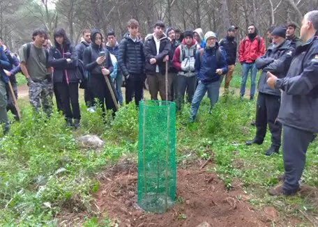 ausf Visita ai cantieri forestali 4