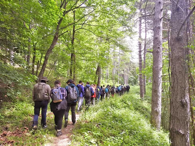 Summer school forestale 2