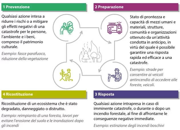 art Dal mondo degli incendi boschivi 3 gest integrata