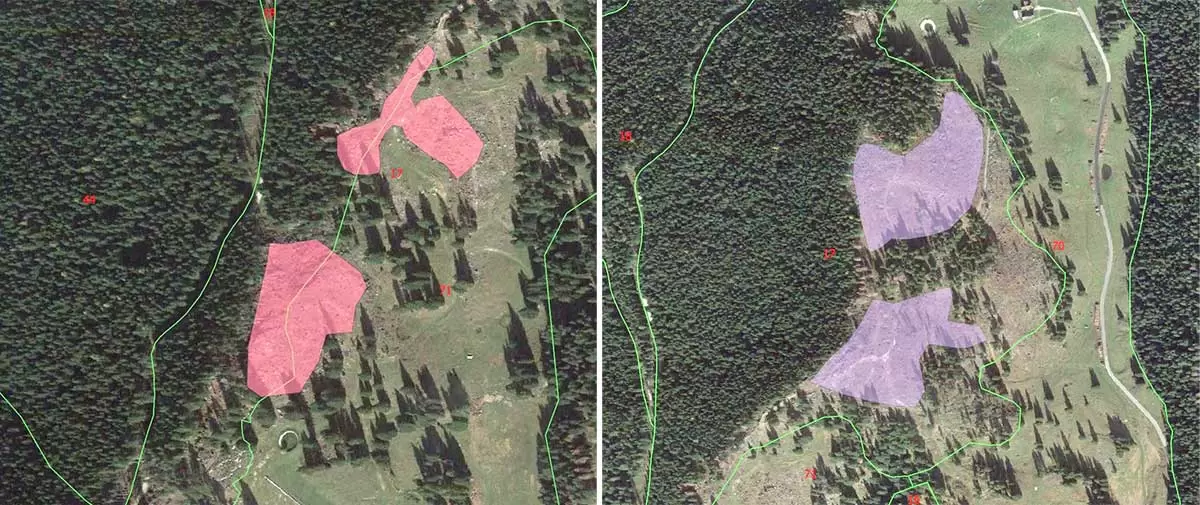 art.Due nuovi rimboschimenti 1 2