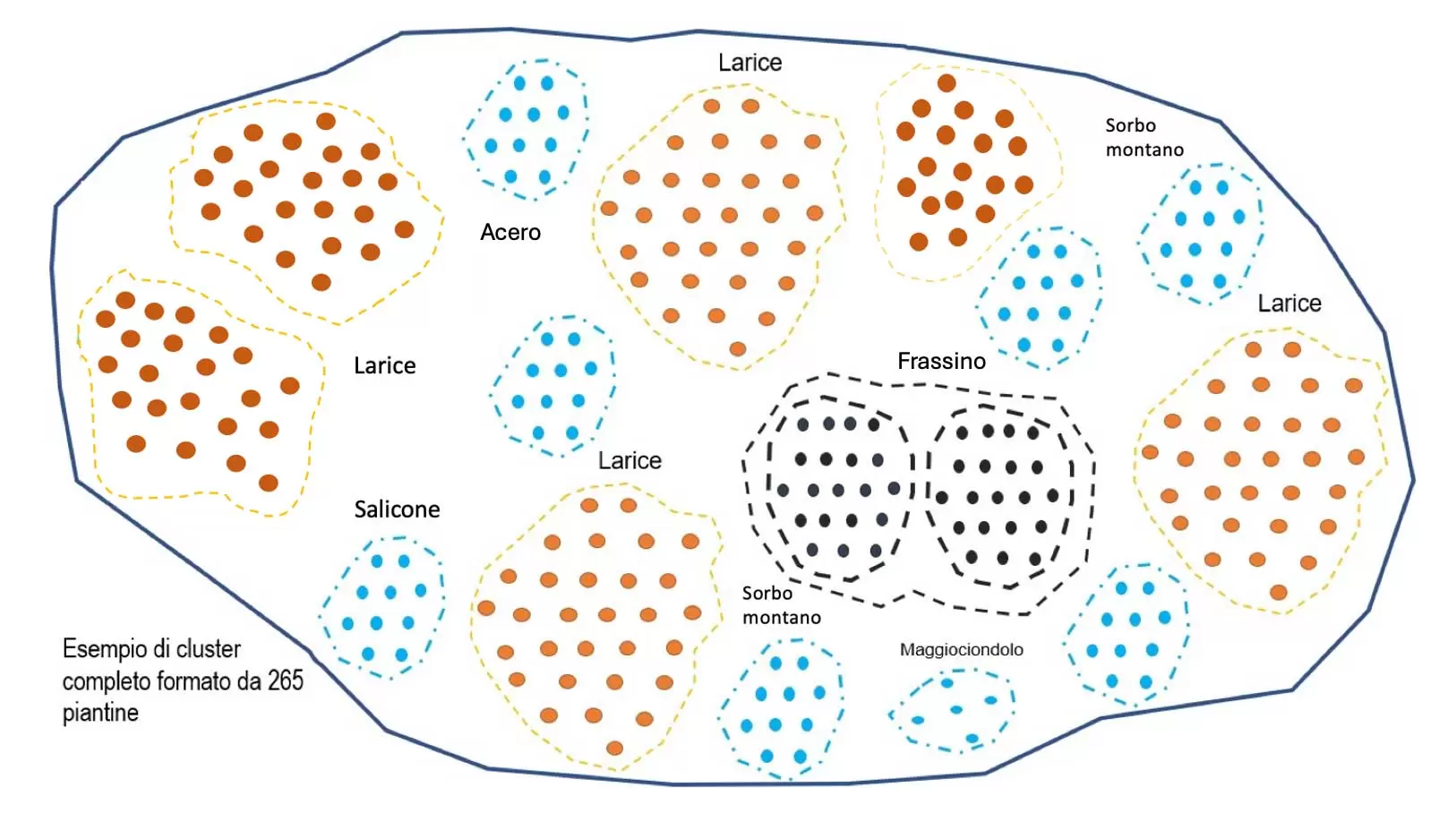 art.Due nuovi rimboschimenti figura2