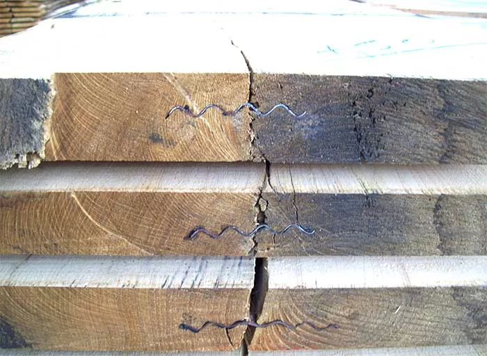 Filiera castanicoltura da legno b