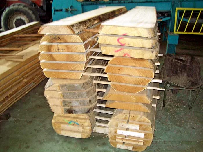 Filiera castanicoltura da legno c