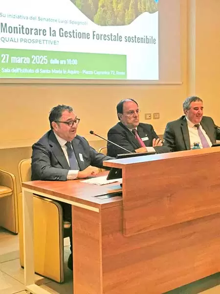 art.Gestione forestale sostenibile 1