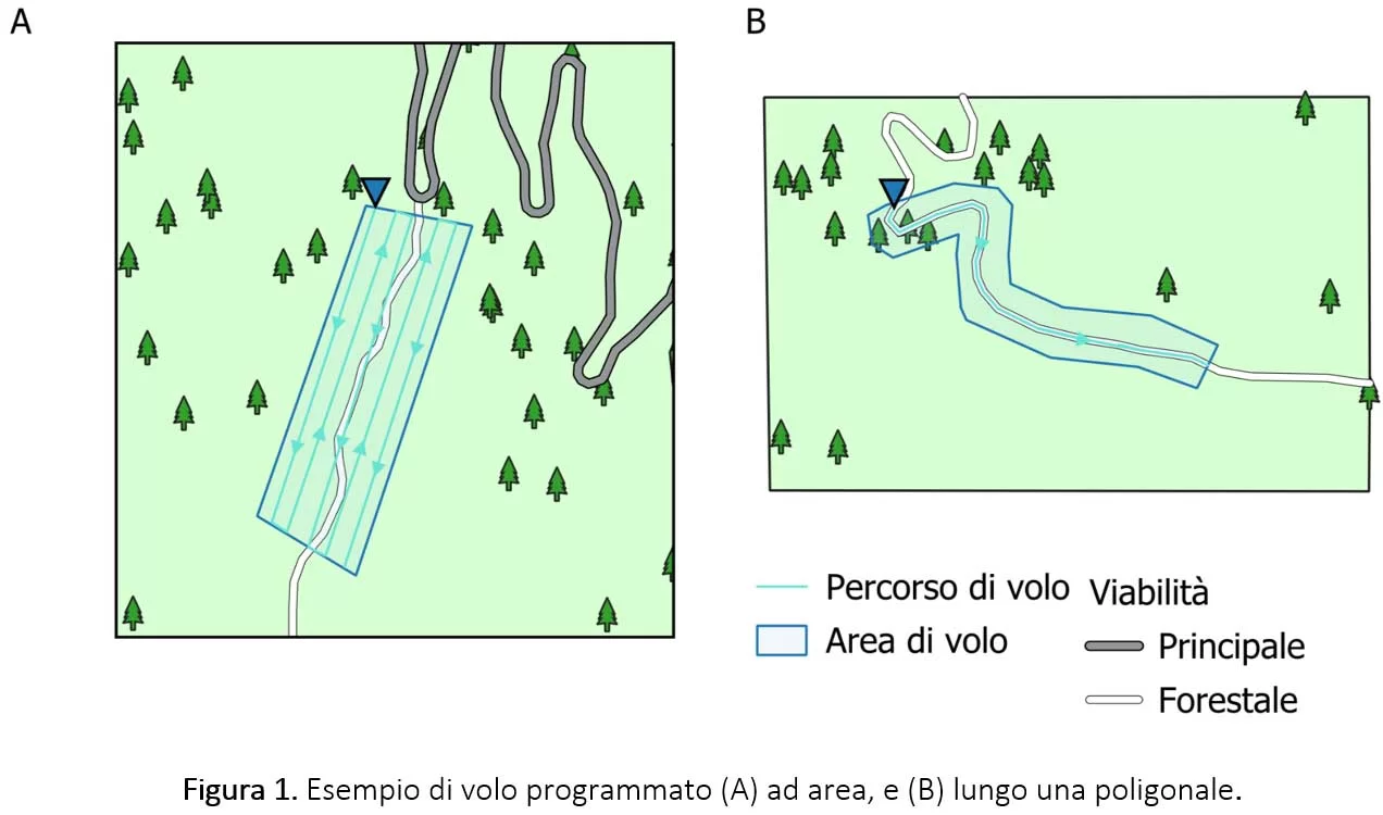 art.Ricognizione delle strade forestali droni Figura 1