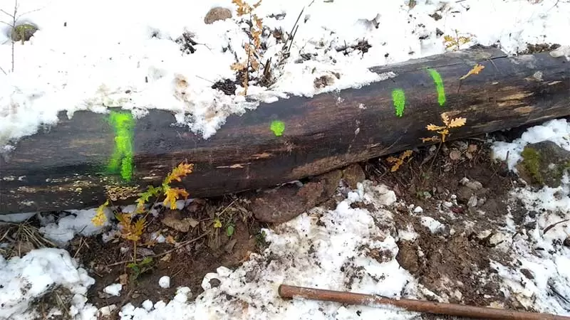 Art.Progetto RE ENFORCE 2