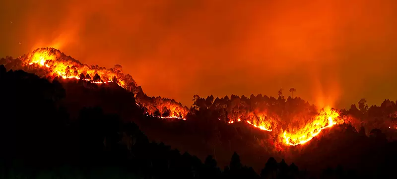 art.Incendi boschivi ed emissioni climalteranti 1