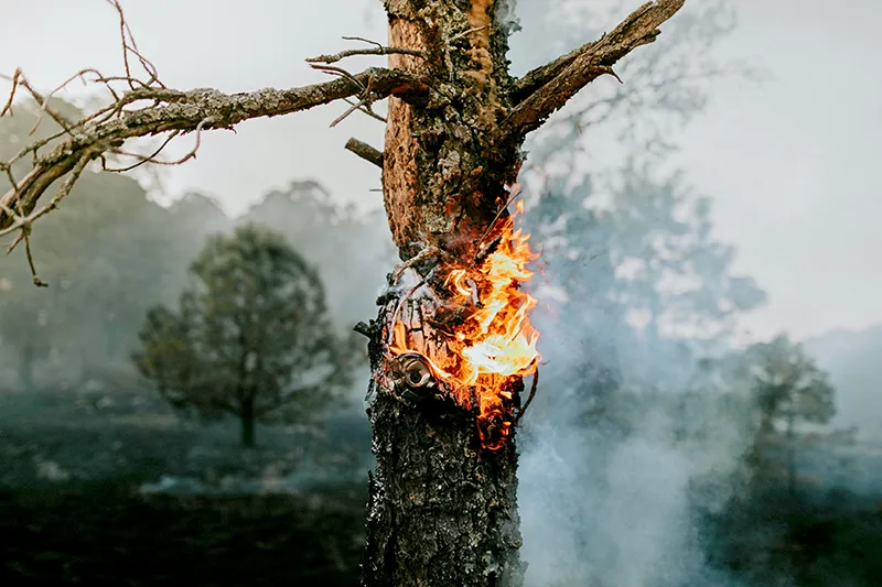 Integrated Wildfire Risk Management 4