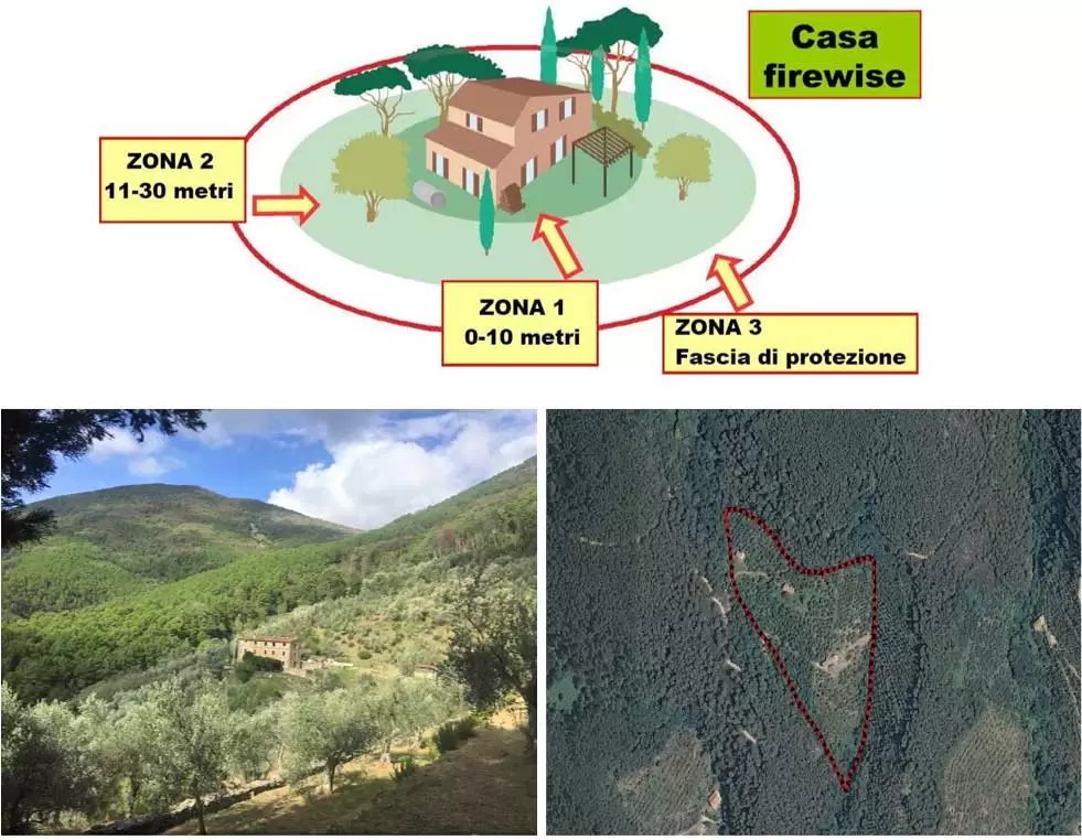 art.La gestione forestale post incendio 3