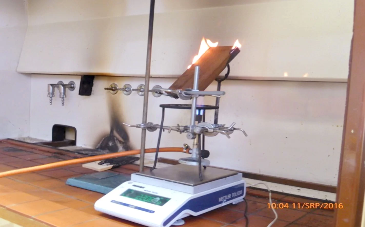 nw4 Legno trattato con igniritardanti naturali 2