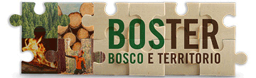 Boster