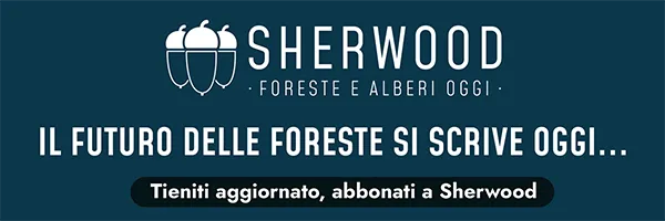 Il futuro delle foreste si scrive oggi...