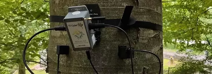 Produzione case in legno