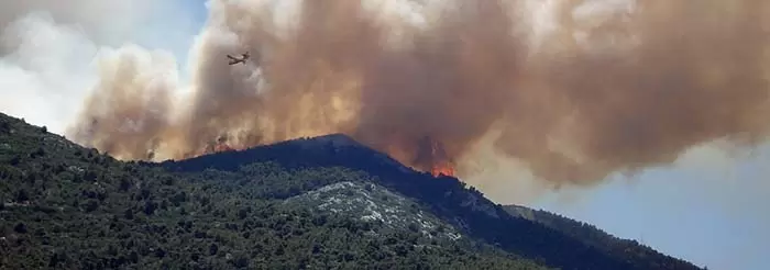 Valorizzazione del legno