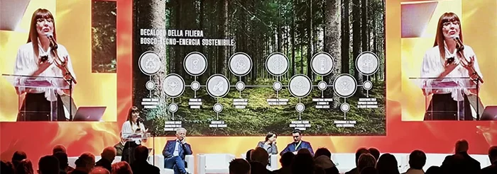 Strumenti per la foresta del futuro