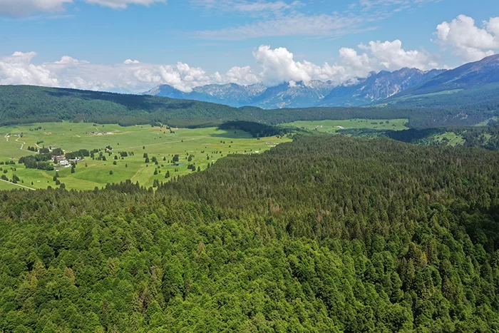 Sistema Informativo Nazionale Forestale