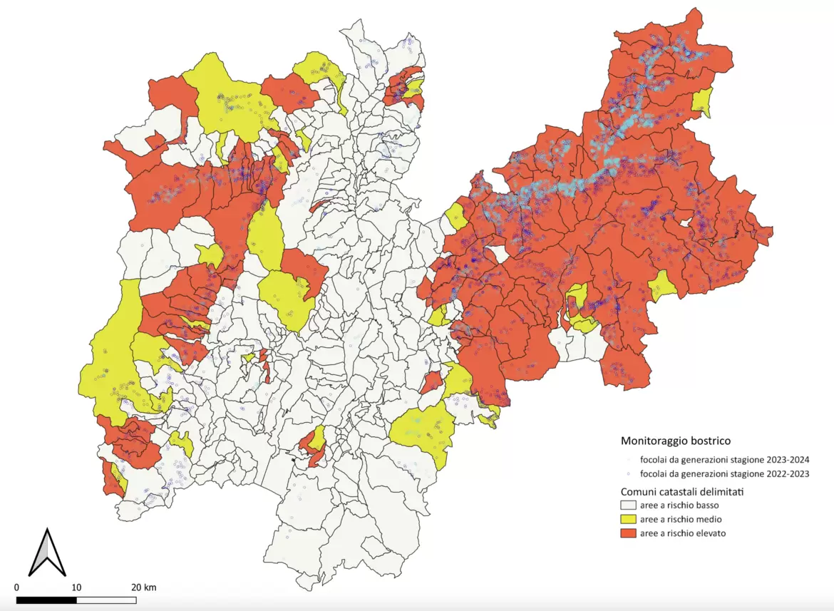Stato di diffusione del bostrico2024