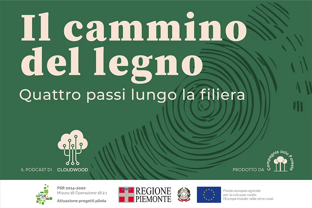 Cloudwood_ARTICOLOSHERWOOD_