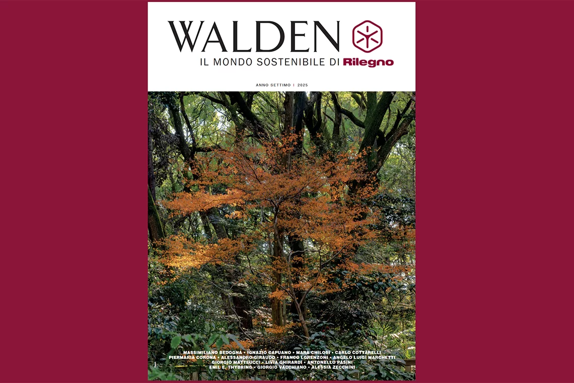 Pillole Italia 62 news6