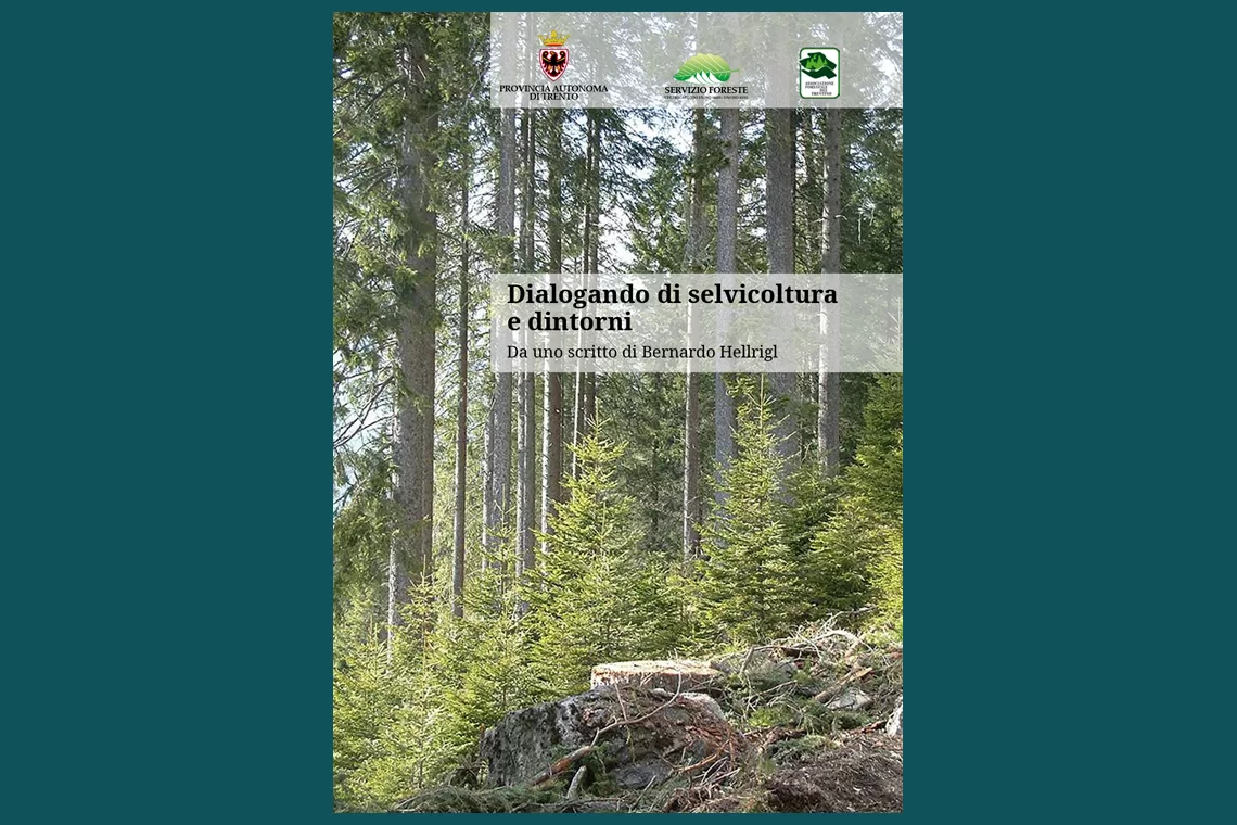 Pillole Italia 62 news7