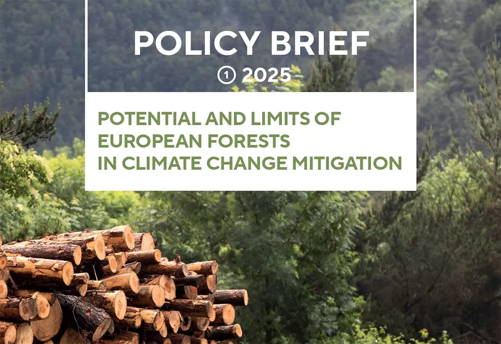 policybriefforforest