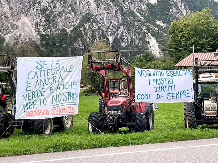 WhatsApp Image 2026 04 08 at 19.50.55