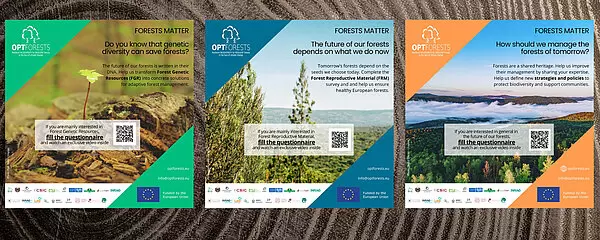 csm banner survey optforests 4089fccb20