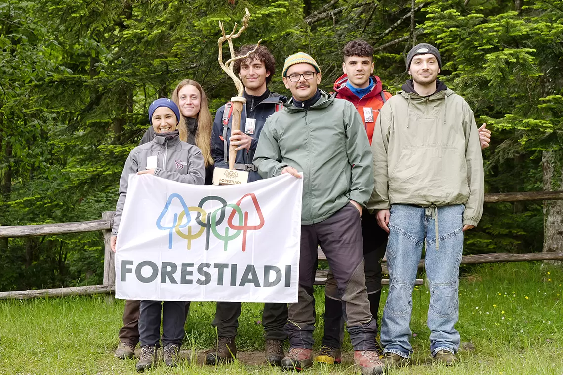 forestiadi26 2