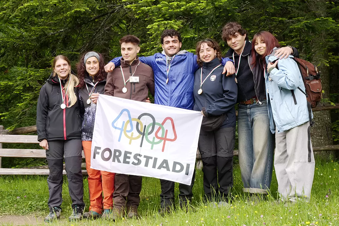 forestiadi26 3