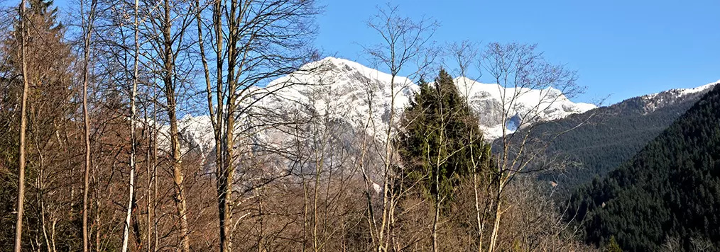 Pillole Italia 04 n1