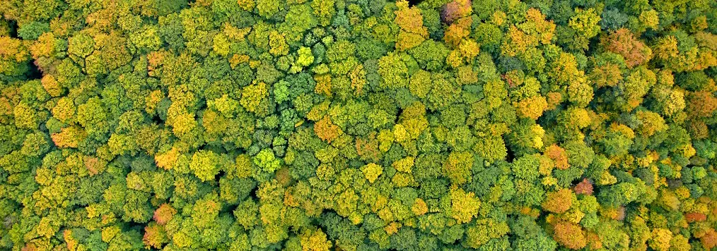 Pillole Italia 04 n2