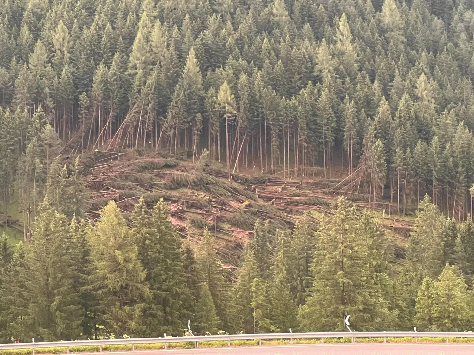 360100929 804265418154729 7644443700390770363 n