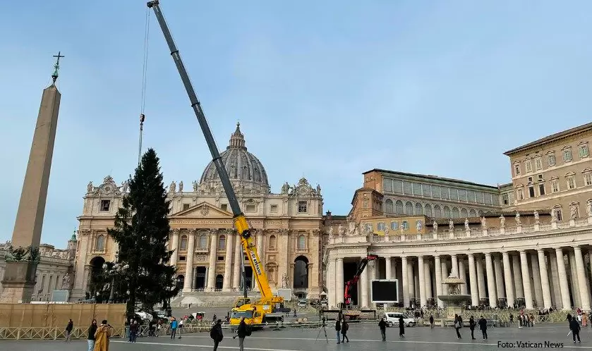 albero natale papa 03