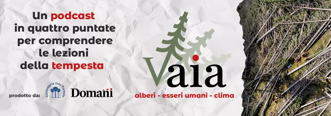 Vaia podcast banner