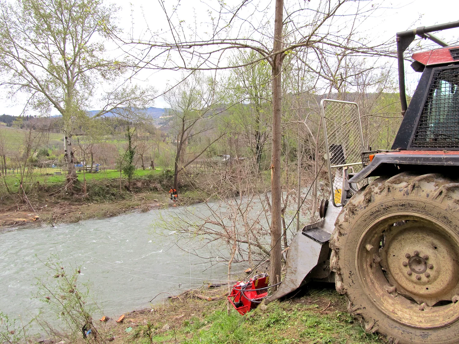 nl75 tp n6 L ausilio del Piccino