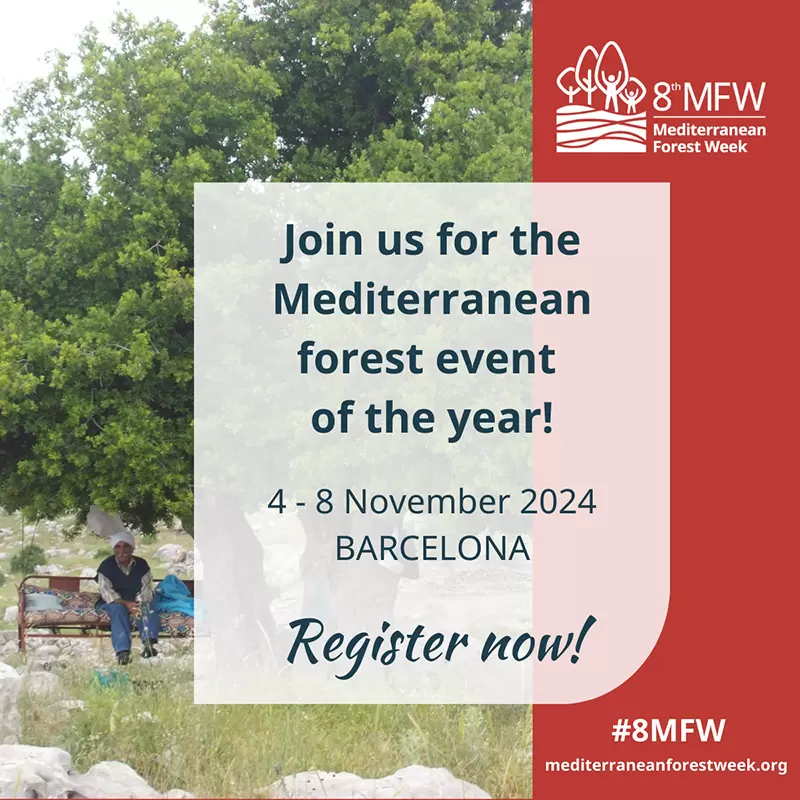 nl786 CC1 8th Mediterranean Forest Week web