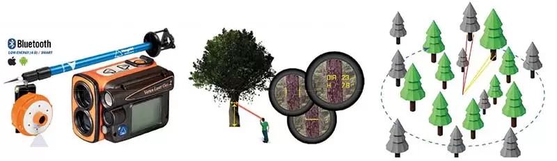 Imm Articoli Forestali BAF