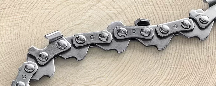 dem113 Sabart3