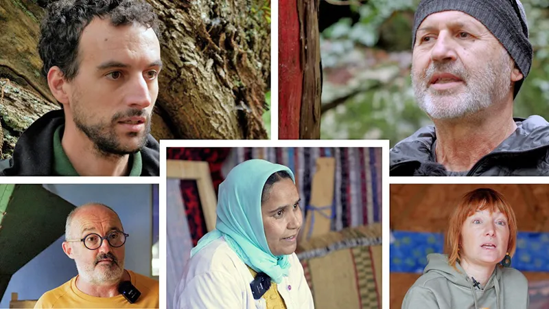 Restoration in the model forests 1