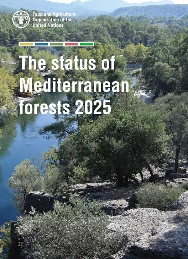 Status mediterranean forests 2025