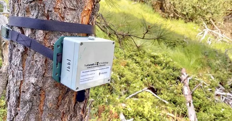 USA_Cornell_Chronicle