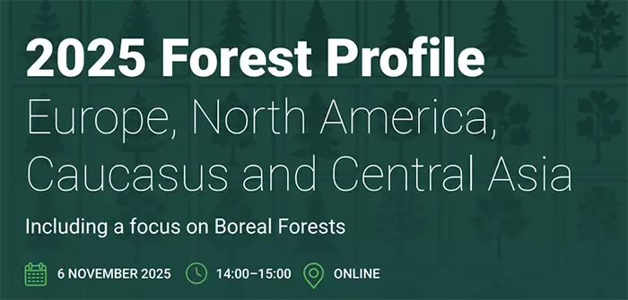 PM10 Forest Profile